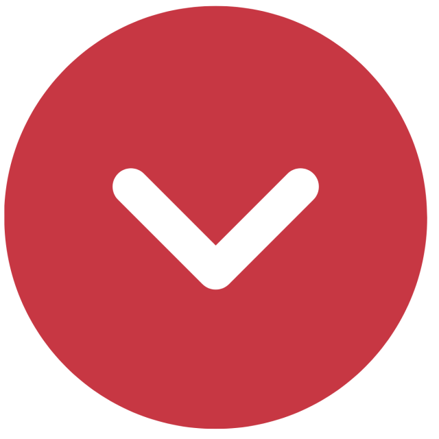 bullet point 